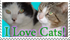 A stamp with two cats pictured on it. The text underneath them says 'I love cats!'