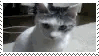 e564292e.gif?width=136&height=77
