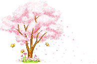 sakura